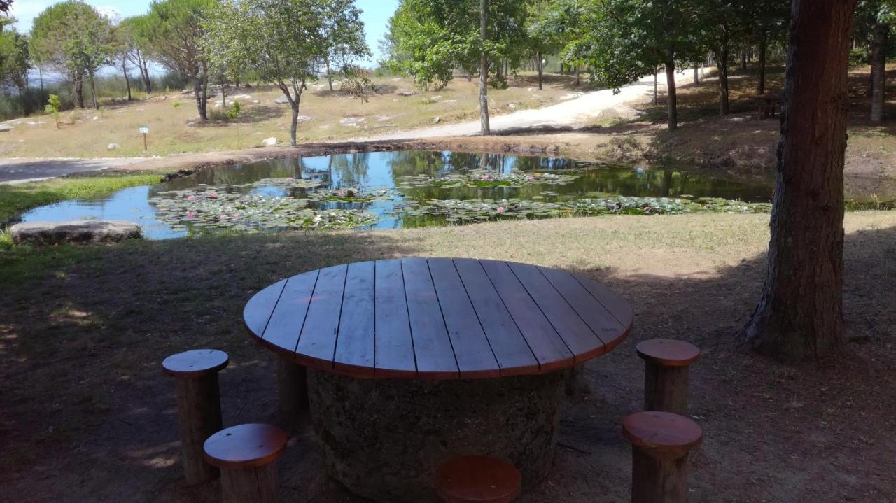 Quinta Da Fonte - Agroturismo Barroselas Exteriér fotografie