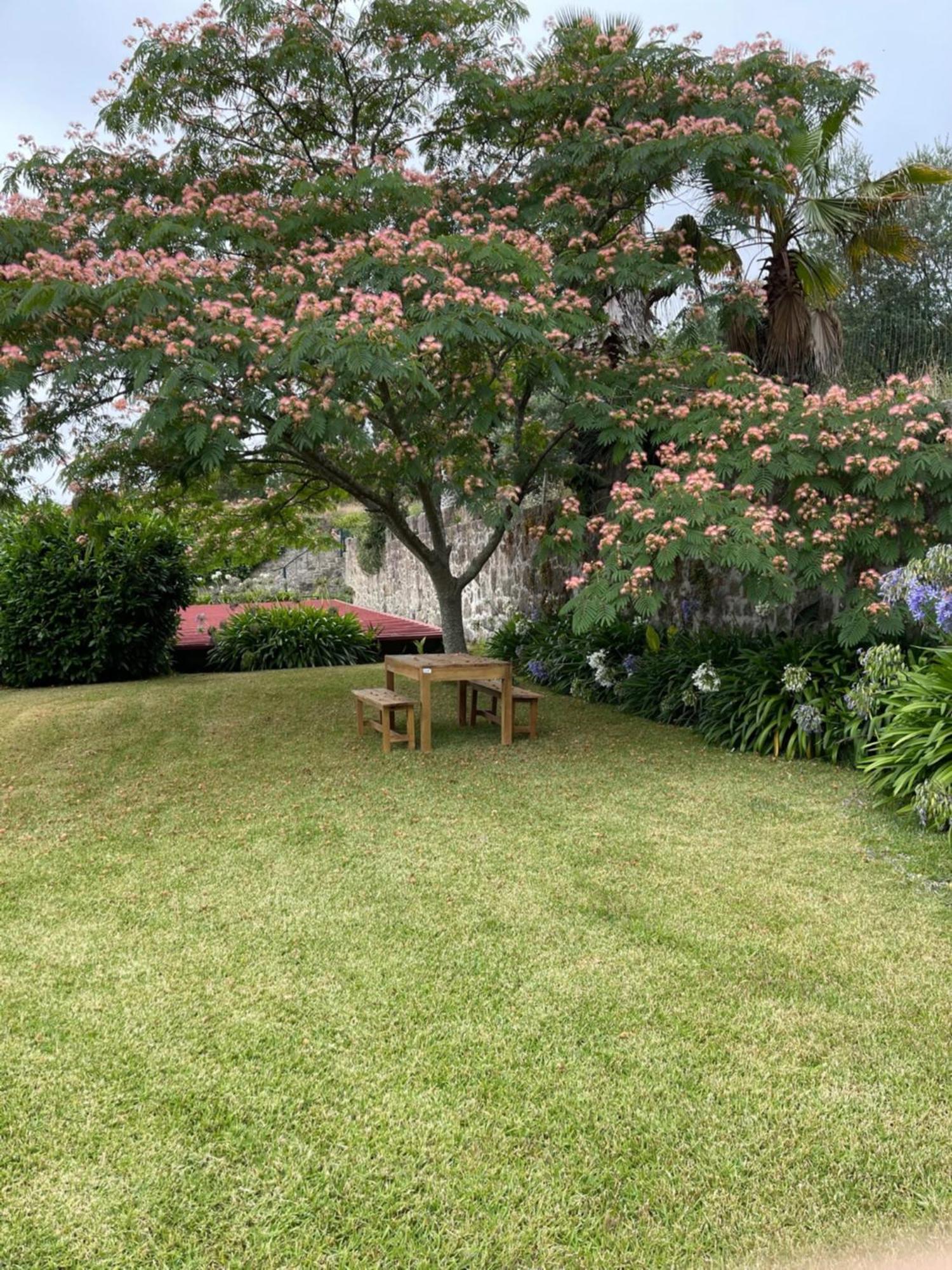 Quinta Da Fonte - Agroturismo Barroselas Pokoj fotografie